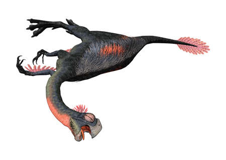 3D rendering of a dinosaur gigantoraptor isolated on white backgroundの写真素材