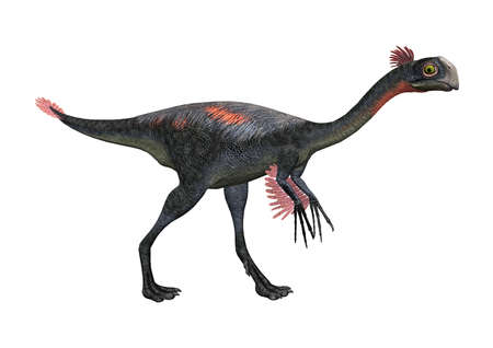 3D rendering of a dinosaur gigantoraptor isolated on white backgroundの写真素材