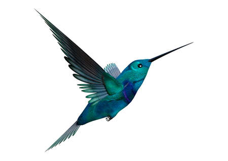 3D rendering of a hummingbird isolated on white backgroundの写真素材