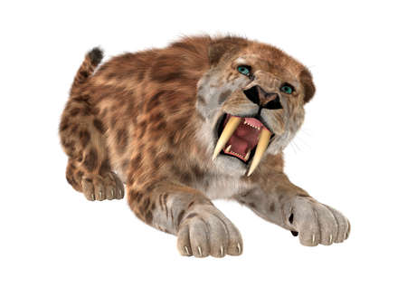 3D rendering of a saber tooth tiger isolated on white backgroundの写真素材