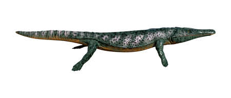 3D rendering of a died animal Archegosaurus isolated on white backgroundの写真素材