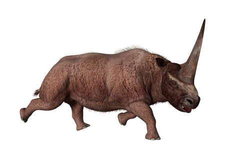3D rendering of a giant extinct rhinoceros Elasmotherium sibiricum isolated on white backgroundの写真素材