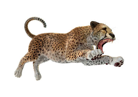 3D rendering of a cheetah jumping isolated on white background