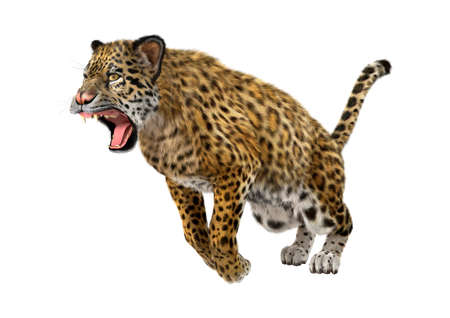 3D rendering of a big cat jaguar jumping isolated on white backgroundの写真素材