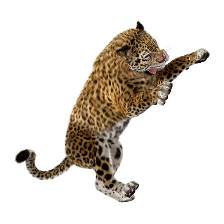 3D rendering of a big cat jaguar jumping isolated on white backgroundの写真素材