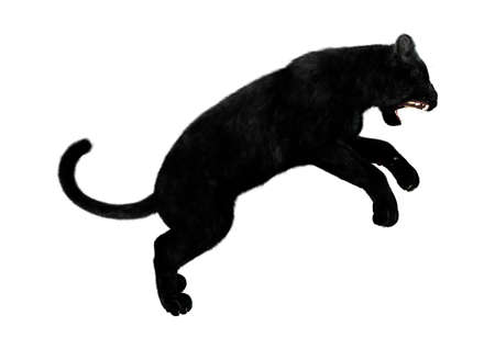 3D rendering of a big black panther hunting isolated on white backgroundの写真素材