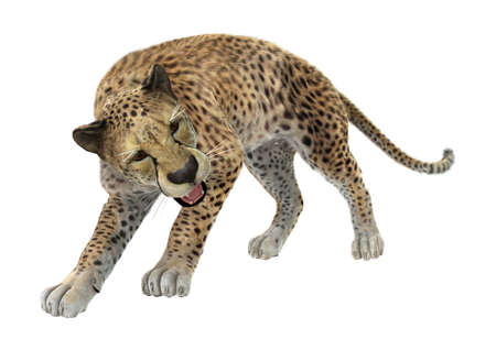 3D rendering of a cheetah isolated on white background