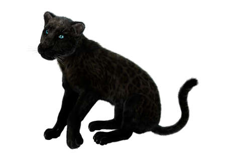 3D rendering of a black panther isolated on white background