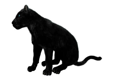 3D rendering of a black panther isolated on white backgroundの写真素材