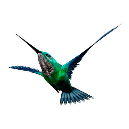 3D rendering of a humming bird isolated on white backgroundの写真素材