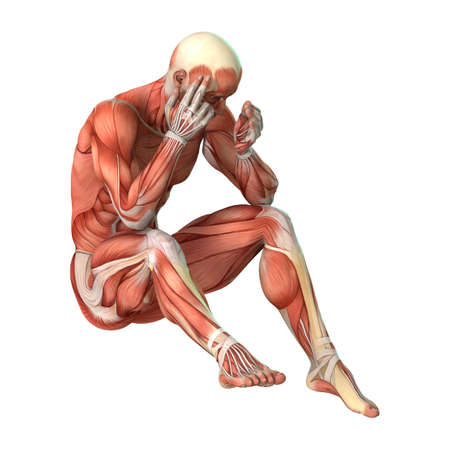 3D rendering of a male figure with muscle maps isolated on white background