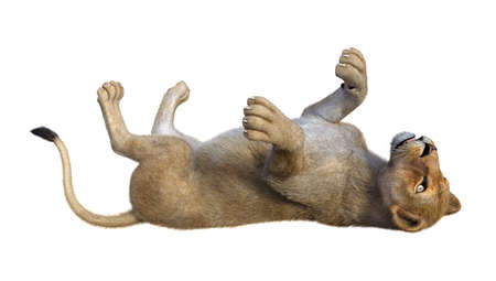 3D rendering of a female lion isolated on white backgroundの写真素材