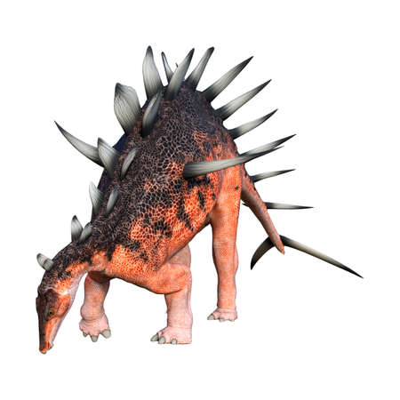 3D rendering of a dinosaur Kentrosaurus isolated on white backgroundの写真素材