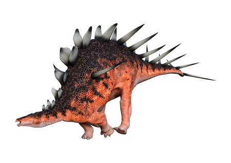 3D rendering of a dinosaur Kentrosaurus isolated on white backgroundの写真素材