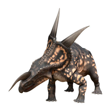 3D rendering of a dinosaur Einiosaurus isolated on white backgroundの写真素材
