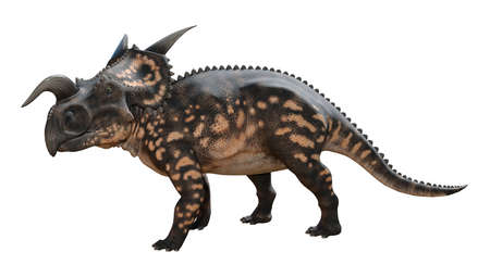 3D rendering of a dinosaur Einiosaurus isolated on white backgroundの写真素材