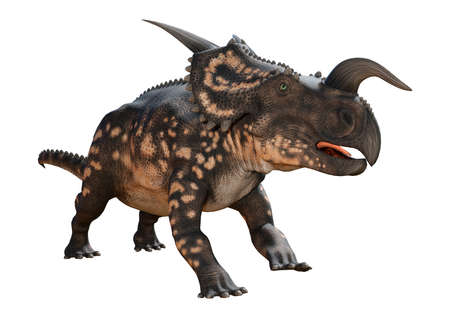 3D rendering of a dinosaur Einiosaurus isolated on white backgroundの写真素材