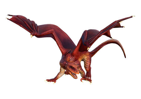 3D rendering of a red fantasy dragon isolated on white backgroundの写真素材