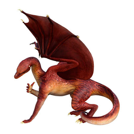 3D rendering of a red fantasy dragon isolated on white backgroundの写真素材
