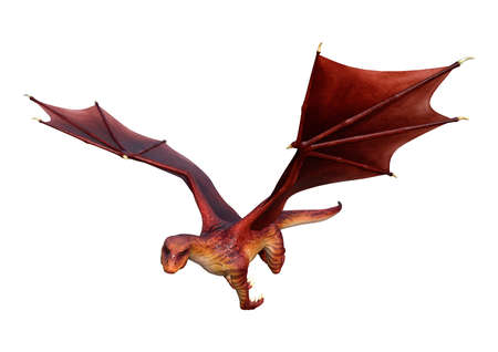 3D rendering of a red fantasy dragon isolated on white backgroundの写真素材