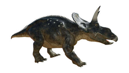 3D rendering of a dinosaur Diceratops isolated on white background