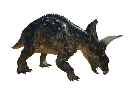 3D rendering of a dinosaur Diceratops isolated on white backgroundの写真素材
