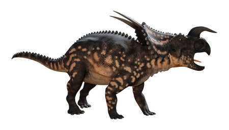 3D rendering of a dinosaur Einiosaurus isolated on white backgroundの写真素材