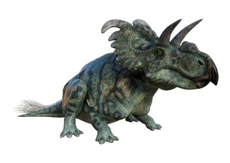3D rendering of a dinosaur Albertaceratops isolated on white backgroundの写真素材