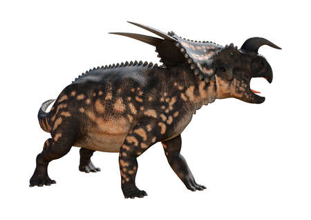 3D rendering of a dinosaur Einiosaurus isolated on white backgroundの写真素材