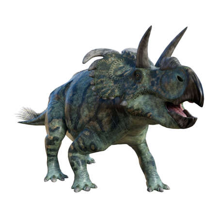 3D rendering of a dinosaur Albertaceratops isolated on white backgroundの写真素材