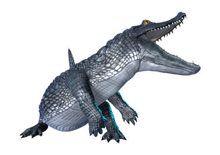 3D rendering of an alligator caiman isolated on white backgroundの写真素材