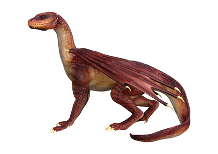 3D rendering of a red fantasy dragon isolated on white backgroundの写真素材