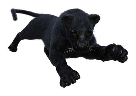 3D rendering of a black panther isolated on white background