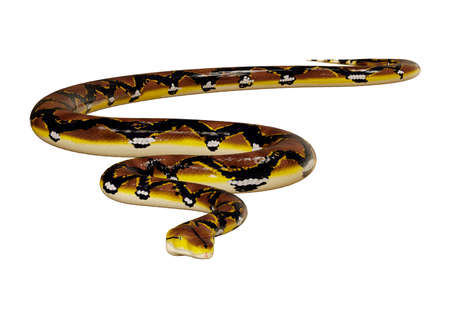 3D rendering of a Reticulated python or Python reticulatus, a species of python found in Southeast...