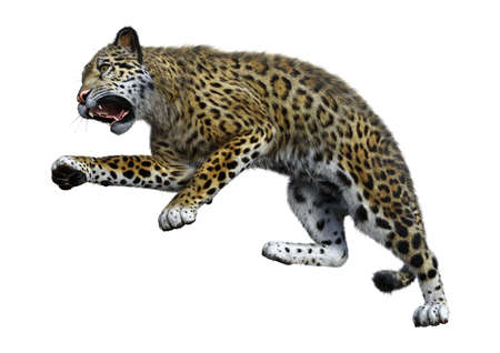 3D rendering of a big cat jaguar isolated on white background