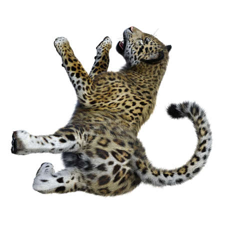 3D rendering of a big cat jaguar isolated on white background