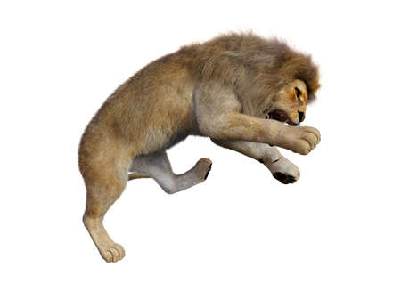 3D rendering of a male lion isolated on white backgroundの写真素材