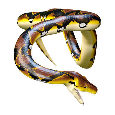 3D rendering of a Reticulated python or Python reticulatus, a species of python found in Southeast...