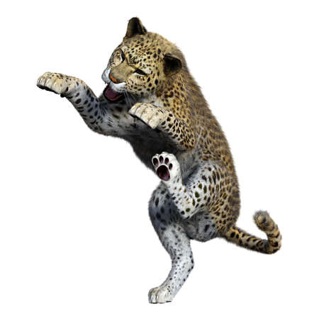 3D rendering of a big cat leopard isolated on white backgroundの写真素材