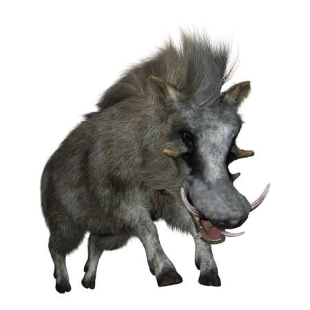 3D rendering of a common warthog or Phacochoerus africanus isolated on white backgroundの写真素材
