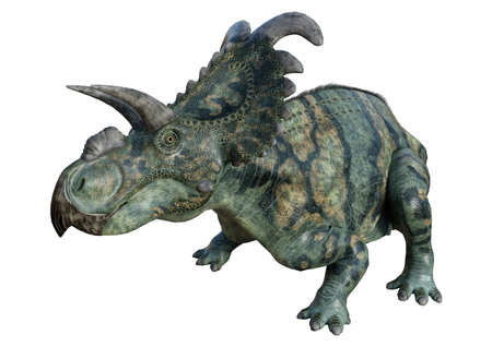 3D rendering of a dinosaur Albertaceratops isolated on white backgroundの写真素材