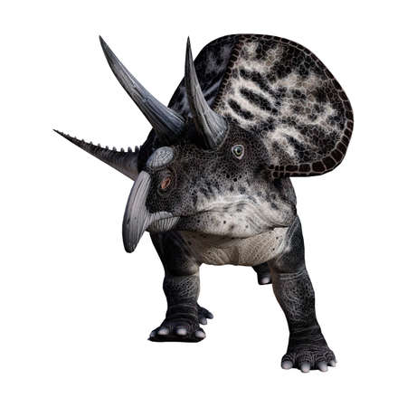 3D rendering of a dinosaur Zuniceratops isolated on white backgroundの写真素材