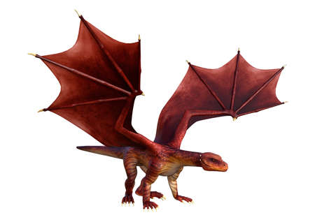 3D rendering of a red fantasy dragon isolated on white backgroundの写真素材