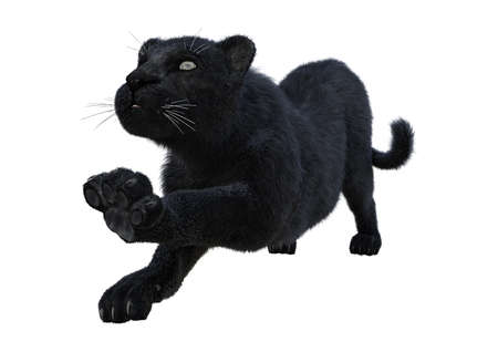 3D rendering of a black panther isolated on white backgroundの写真素材