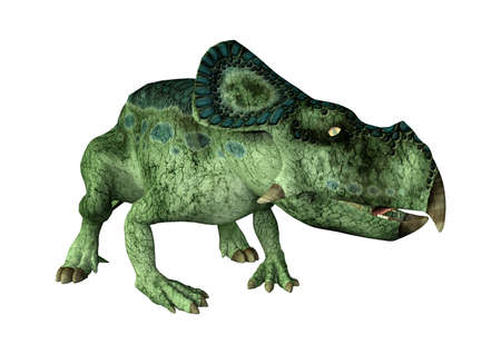 3D rendering of a dinosaur Protoceratops isolated on white backgroundの写真素材