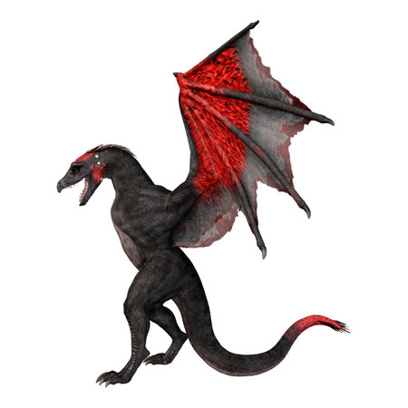 3D rendering of a fantasy dragon isolated on white backgroundの写真素材