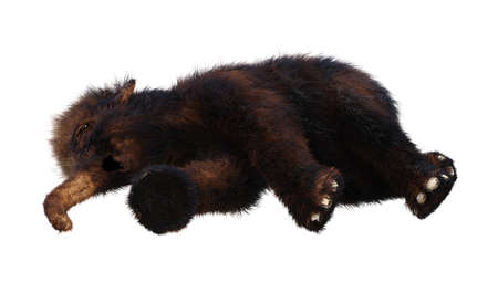 3D rendering of a baby woolly mammoth isolated on white background
