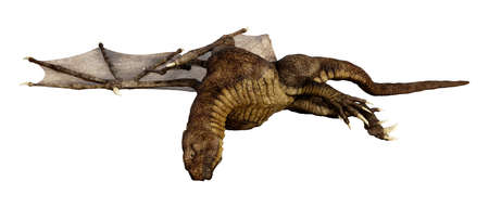 3D rendering of a fantasy dragon isolated on white backgroundの写真素材