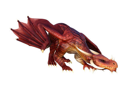 3D rendering of a fantasy dragon isolated on white backgroundの写真素材