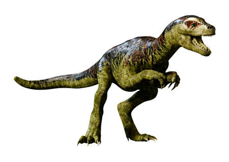 3D rendering of a dinosaur Tyrannosaurus hatchling isolated on white background